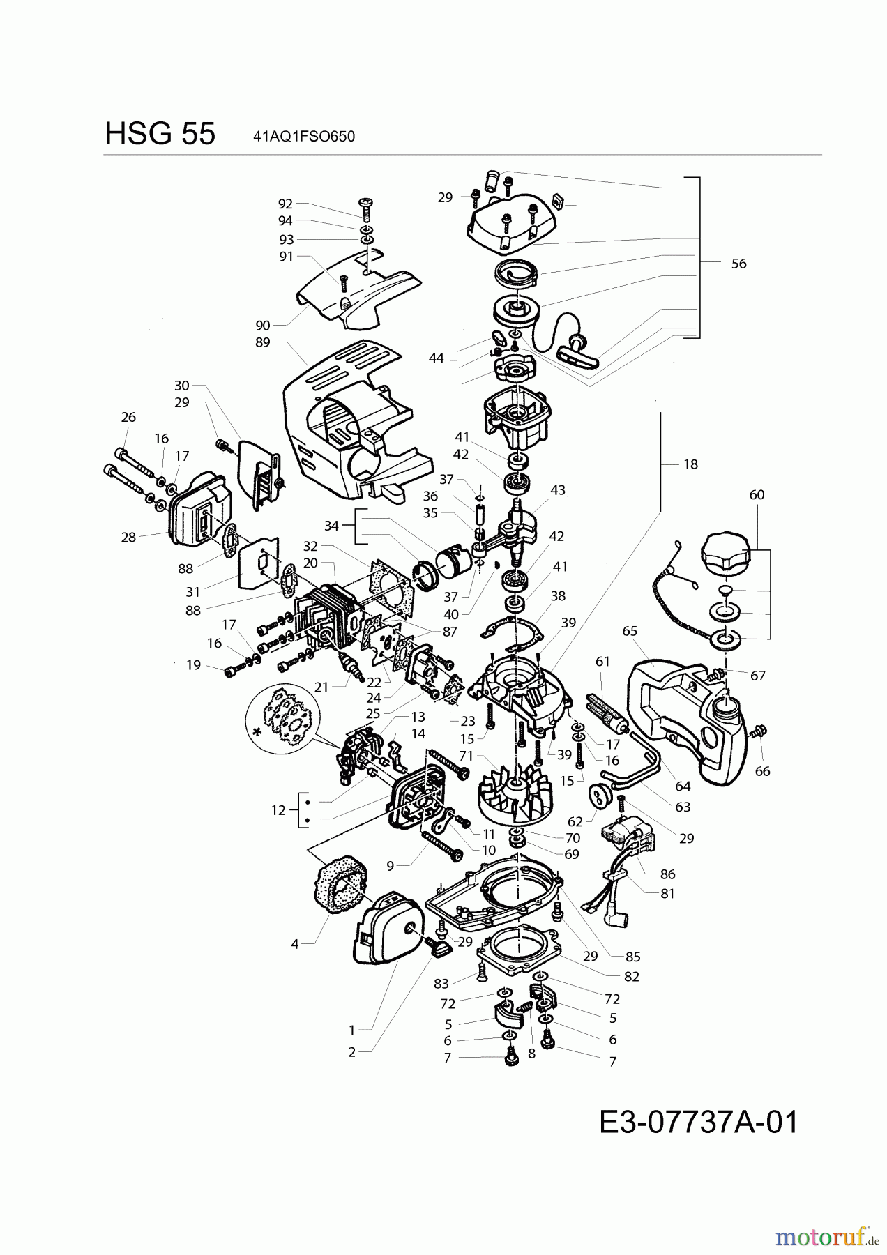 Wolf-Garten Petrol hedge shears HSG 55 41AQ1FSO650 (2012) Engine