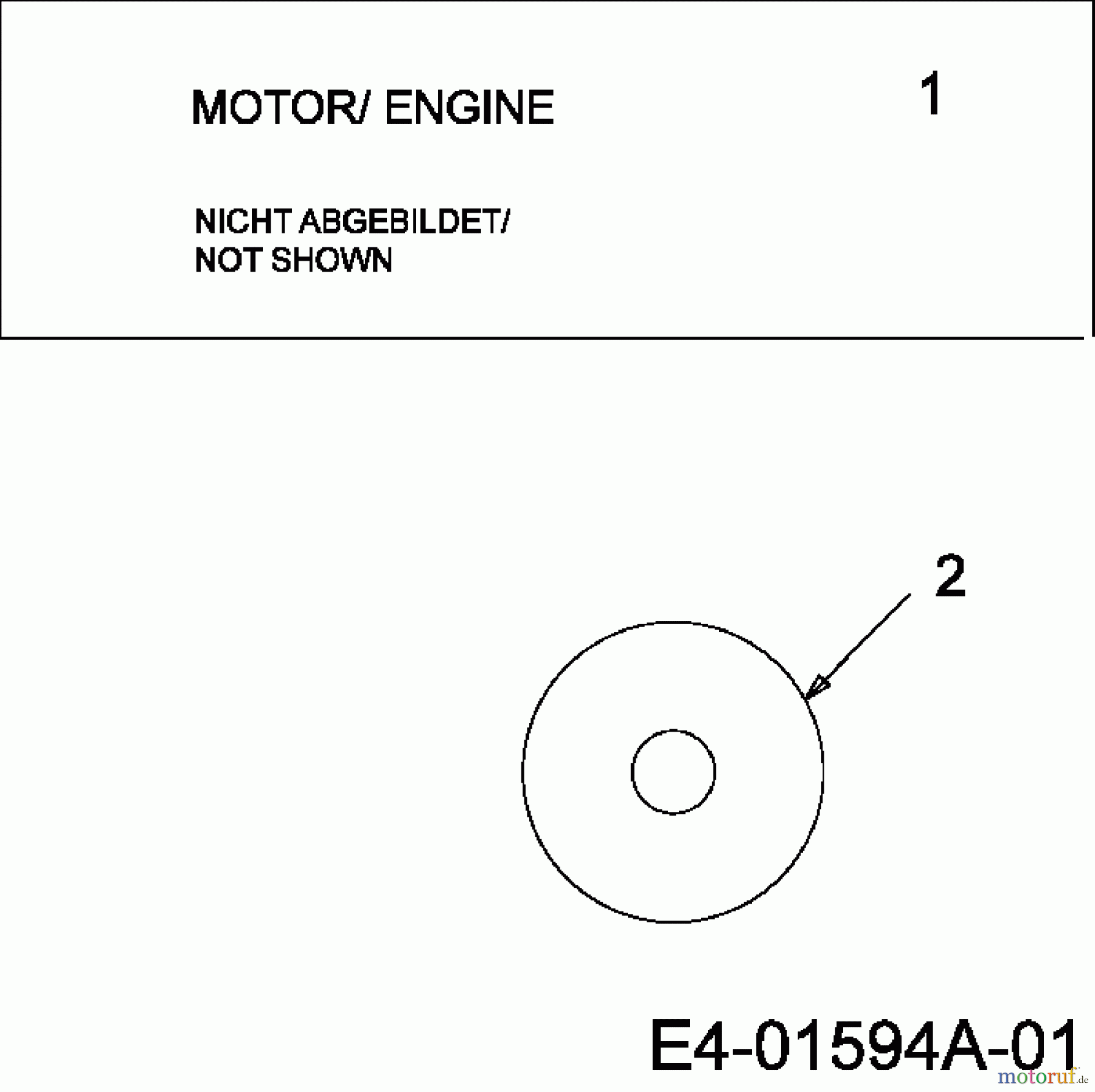  Troy-Bilt Snow throwers POLAR 10071 31AV6ZLO609  (2009) Engine